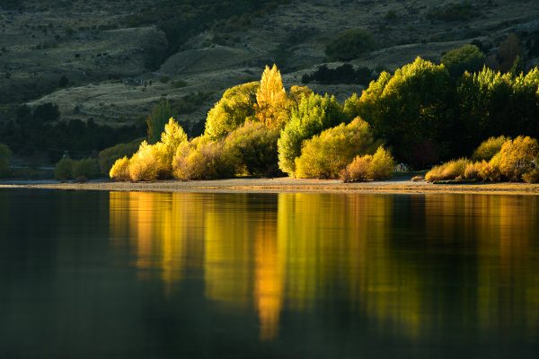 Ultimate New Zealand Photography Tour