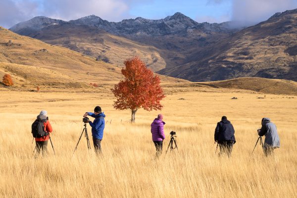 Ultimate New Zealand Photography Tour