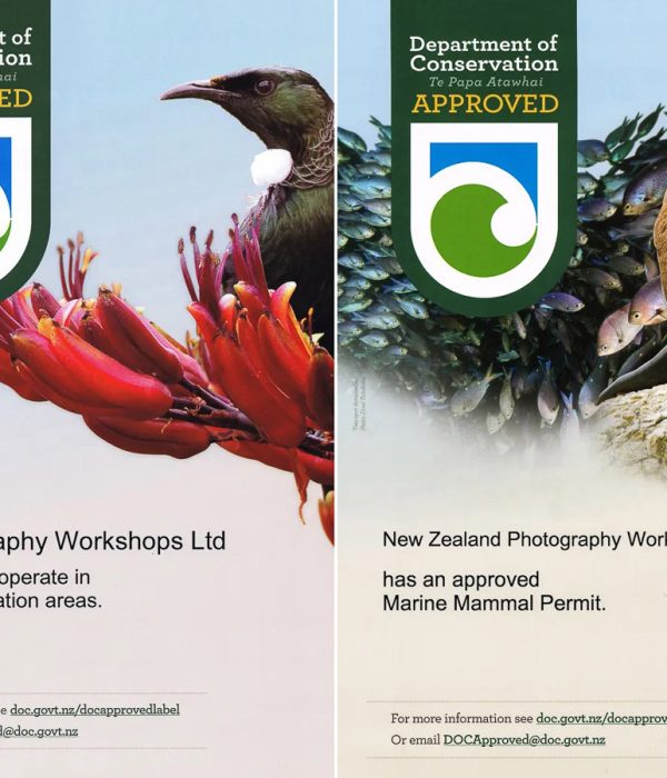 New Zealand photography workshops