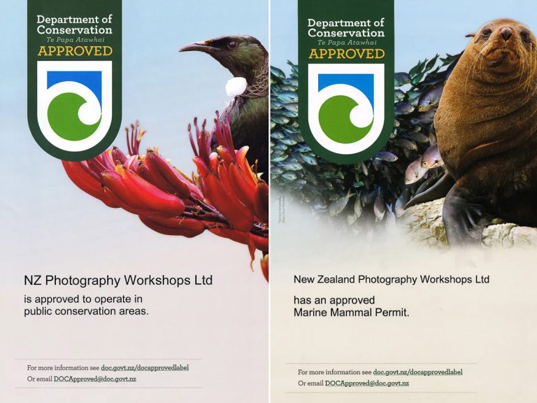 New Zealand photography workshops