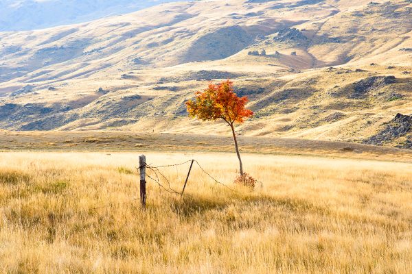 Ultimate New Zealand Photography Tour