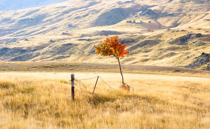 Ultimate New Zealand Photography Tour