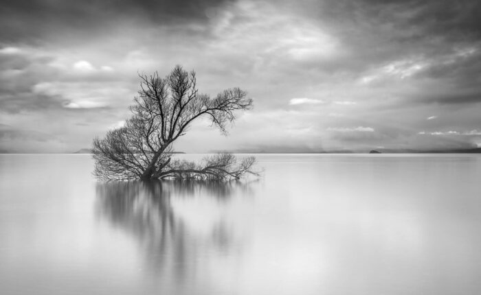 Black and White Photography Workshop