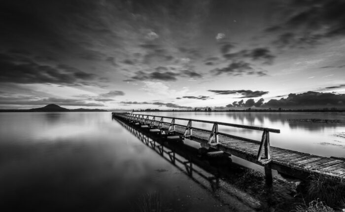 Black and White Photography Workshop