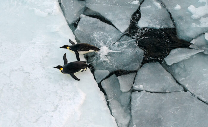 Antarctica Photography Tour
