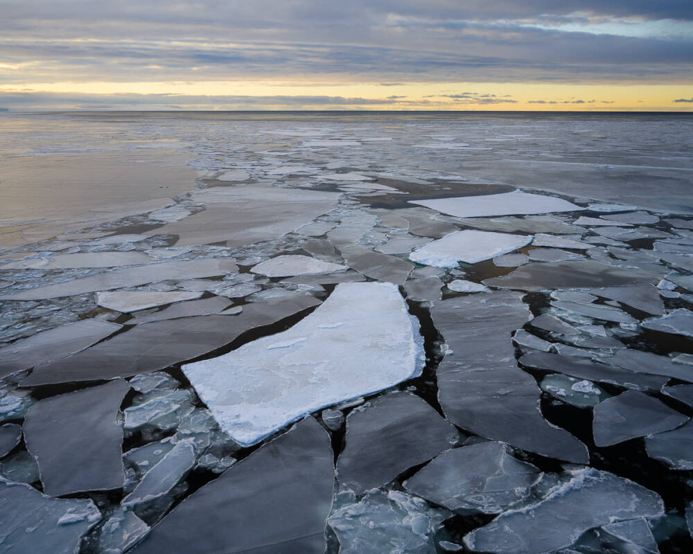 Antarctica Photography Tour