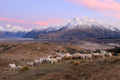 Muster Photography Workshop