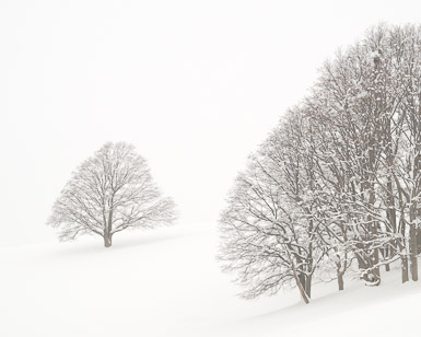 Hokkaido Photography Tour
