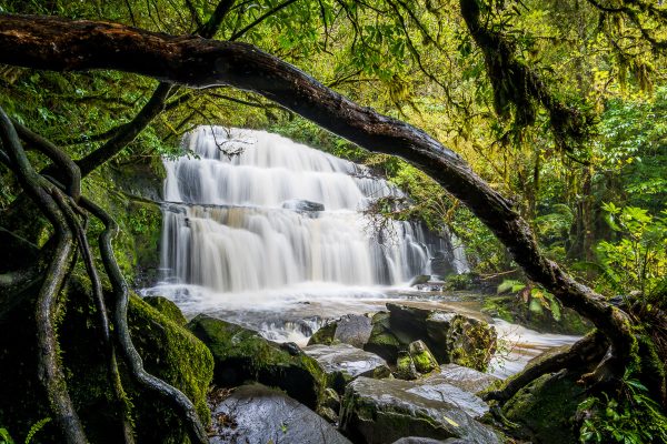 Catlins Coast Photography Workshop