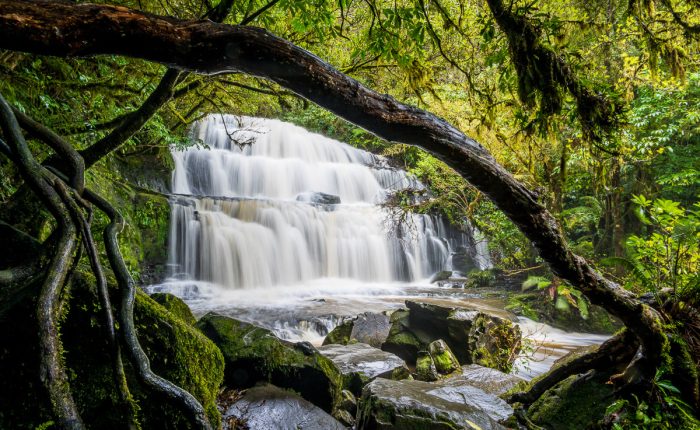 Catlins Coast Photography Workshop