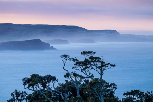 Catlins Coast Photography Workshop