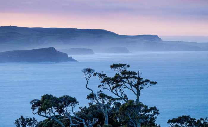 Catlins Coast Photography Workshop