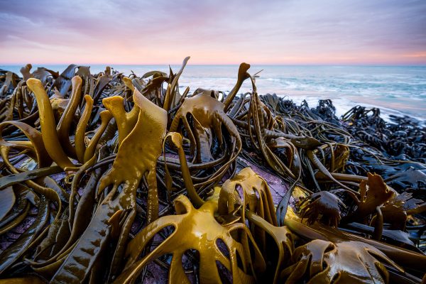 Catlins Coast Photography Workshop
