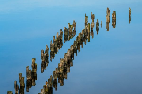 Catlins Coast Photography Workshop