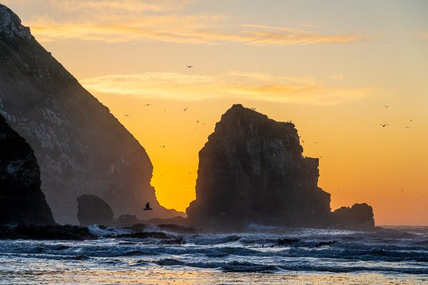 Catlins Coast Photography Workshop