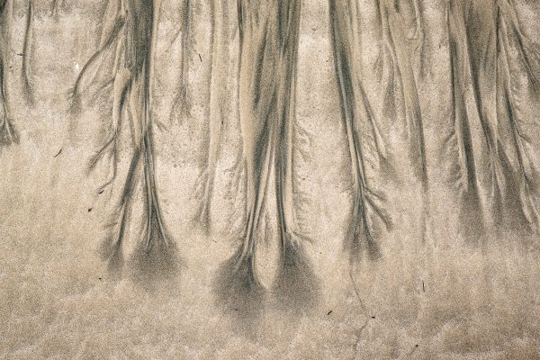 Catlins Coast Photography Workshop