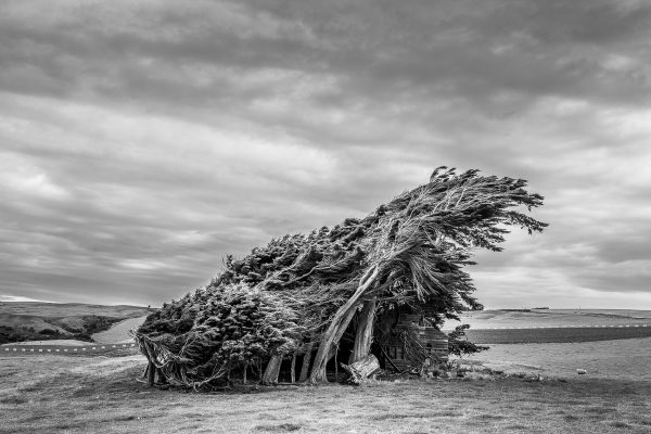 Catlins Coast Photography Workshop