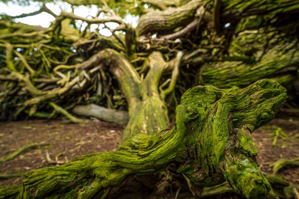 Catlins Coast Photography Workshop