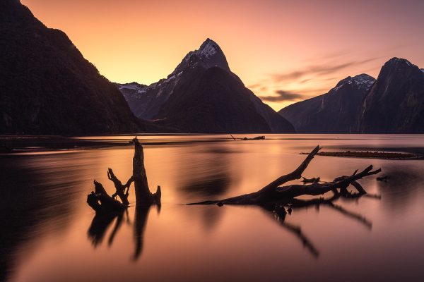 Fiordland Milford Sound Photography Tour