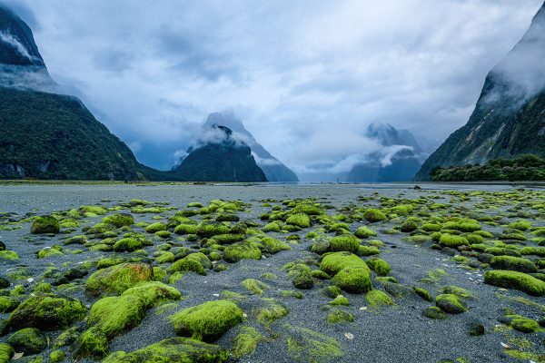 Fiordland Milford Sound Photography Tour