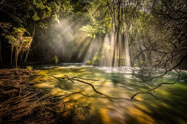 Geothermal Waterfall Photography Rotorua