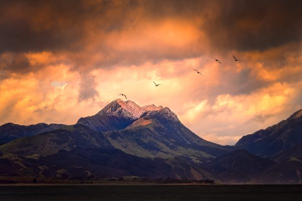 Kaikoura Photography Tour