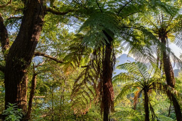 New Zealand Photography Workshops