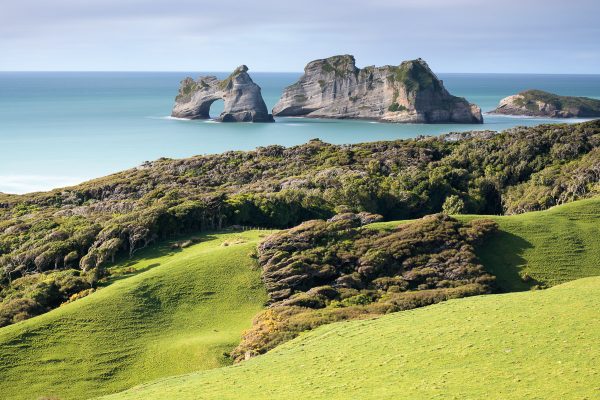New Zealand Photography Workshops