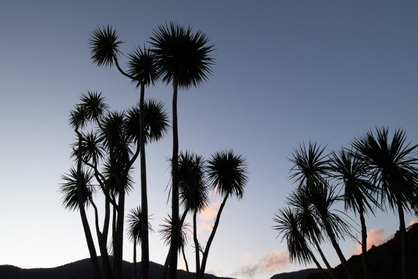 New Zealand Photography Workshops